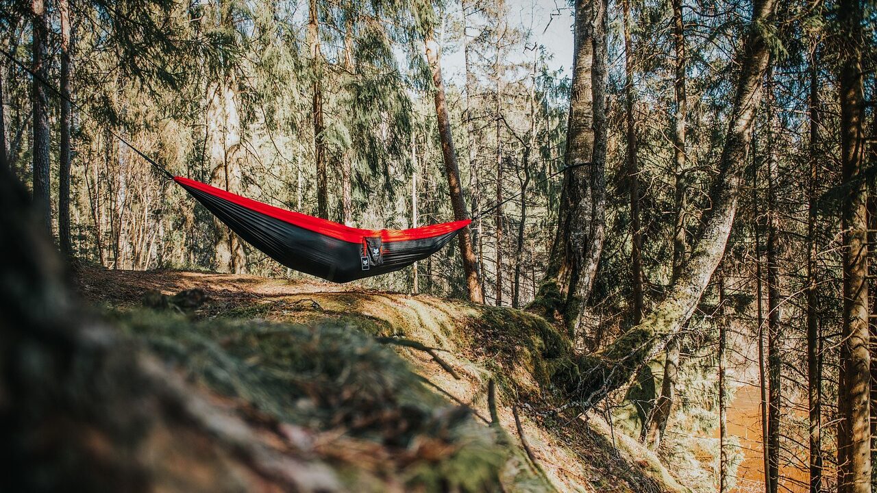 Wild Camping Laws in Europe: Country-by-Country Guide Hammock 4676942 1280 Edited