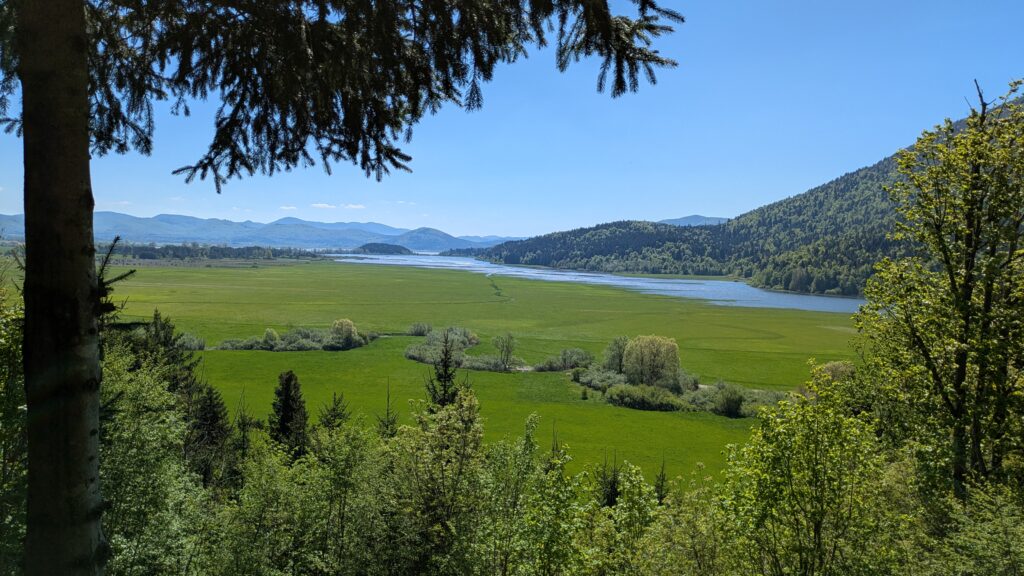 PXL 20250430 091205487.MP 1024x576