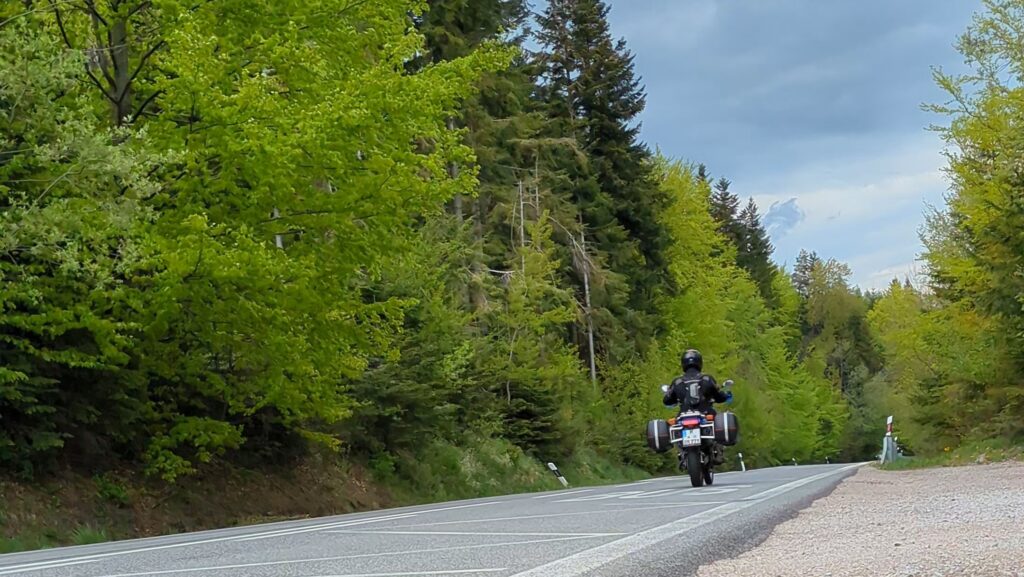 Motorcycle Weekend Trip: How to Plan a Short Tour Motorcycle riding through a forested road on a Saturday morning tour